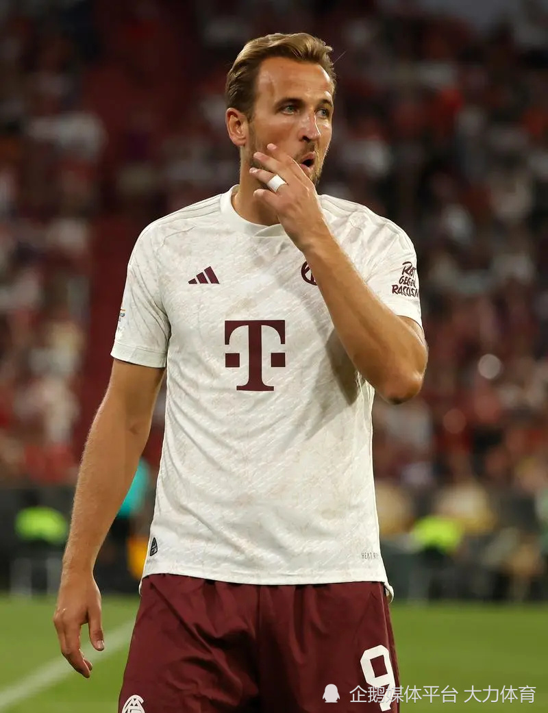 金杯提供了 金杯提供了