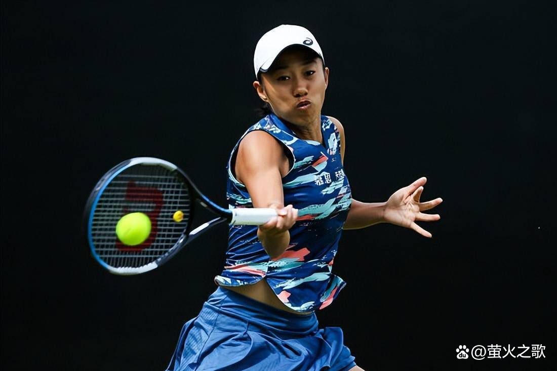 新星比亚 新星比亚