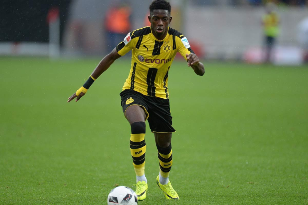 本文将深入 本文将深入